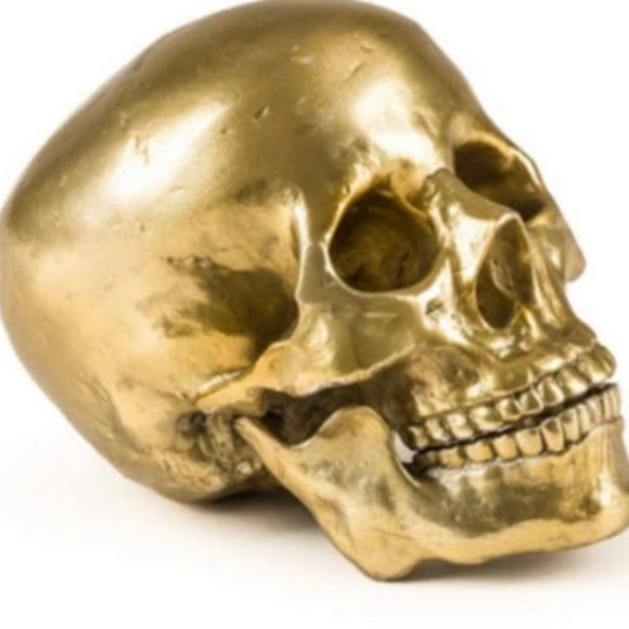 Meet your Posher, Elijah - Picture 1 of 1